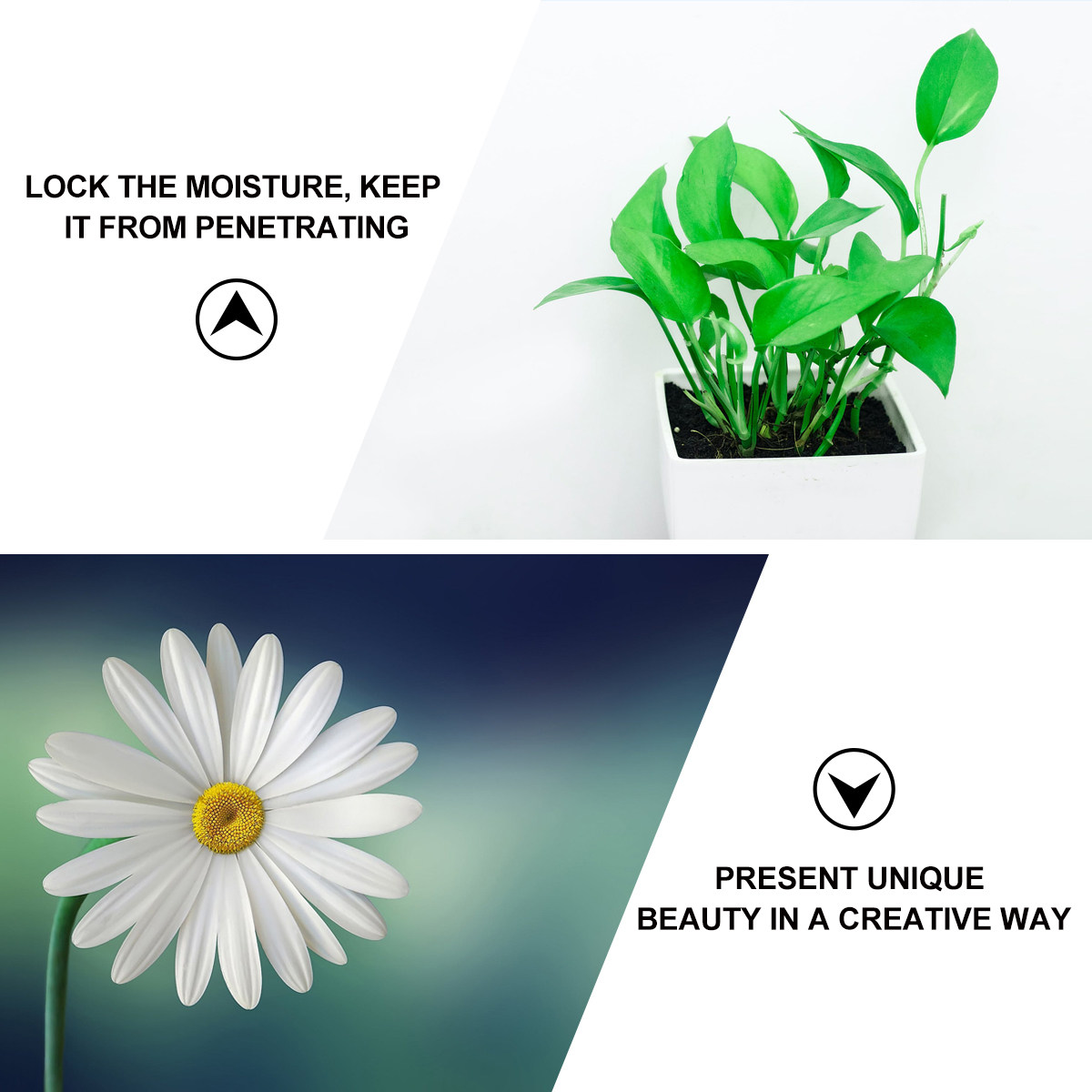 50Pcs Flower Water Tube Essent - The Florist Supply のレビューと価格