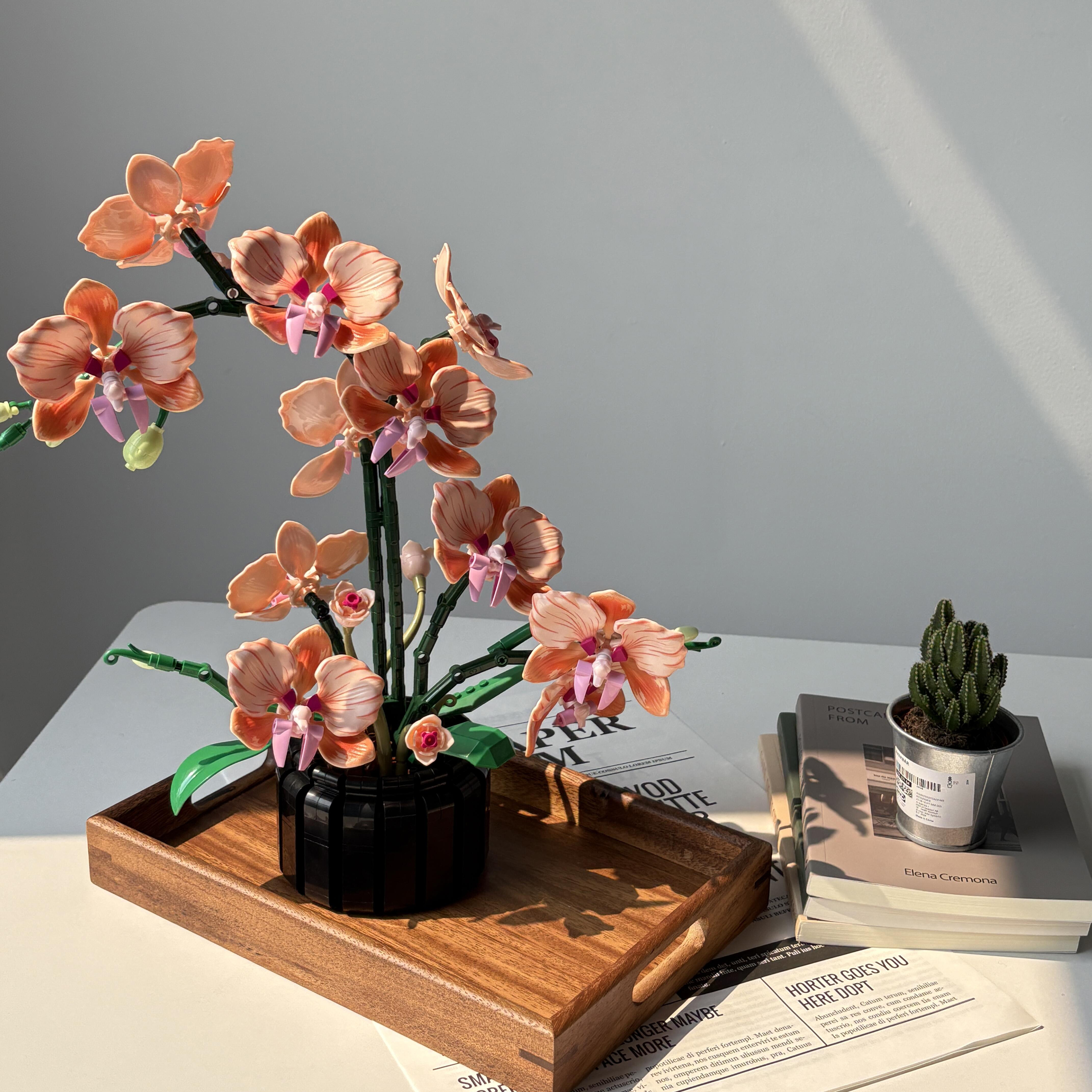 Orange Phalaenopsis Orchid Bui - Florist Supply Vases のレビューと価格