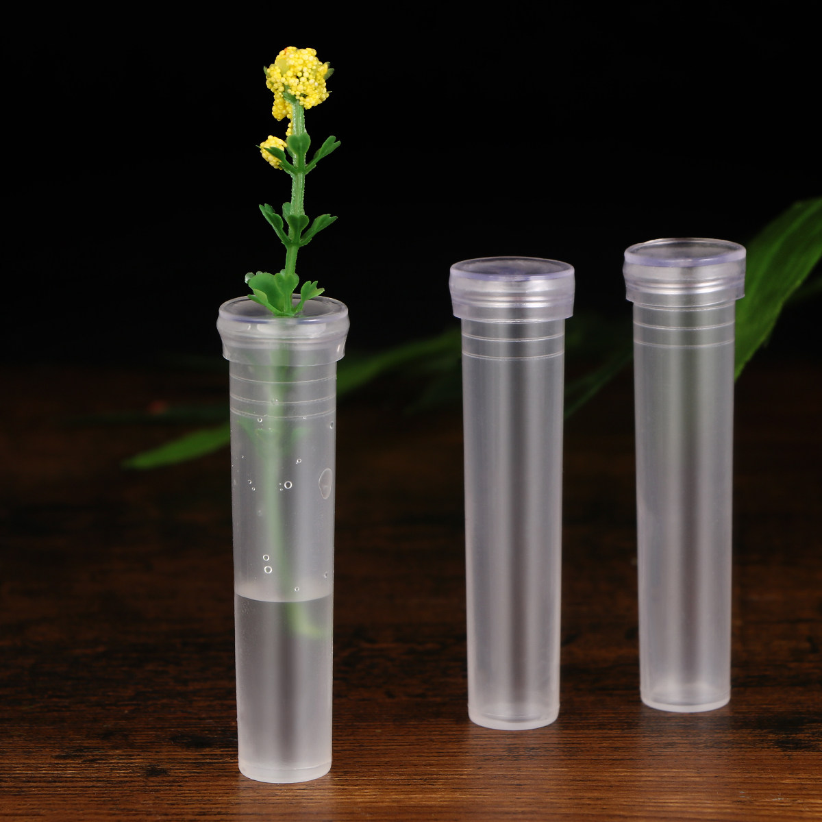 50Pcs Flower Water Storage Tub - The Florist Supply のレビューと価格